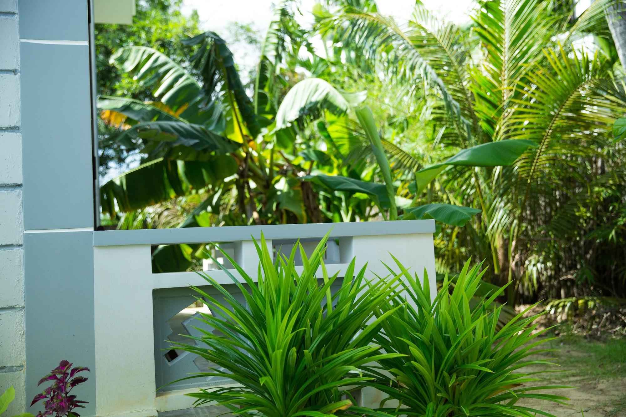 Mr Tho Garden Villas Хоян Екстер'єр фото